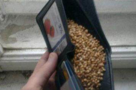 疫情风控催收通知短信：守护金融安全的新篇章