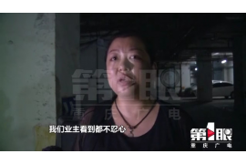 桔多多逾期会一直催收吗？解读逾期催收机制与应对策略