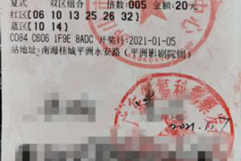 桑日要钱公司：揭秘新兴金融服务平台