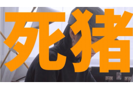 邯郸县追款公司哪里找？专业机构助您解决欠款难题