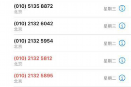 遇到交通银行催收：了解应对策略，维护个人信用